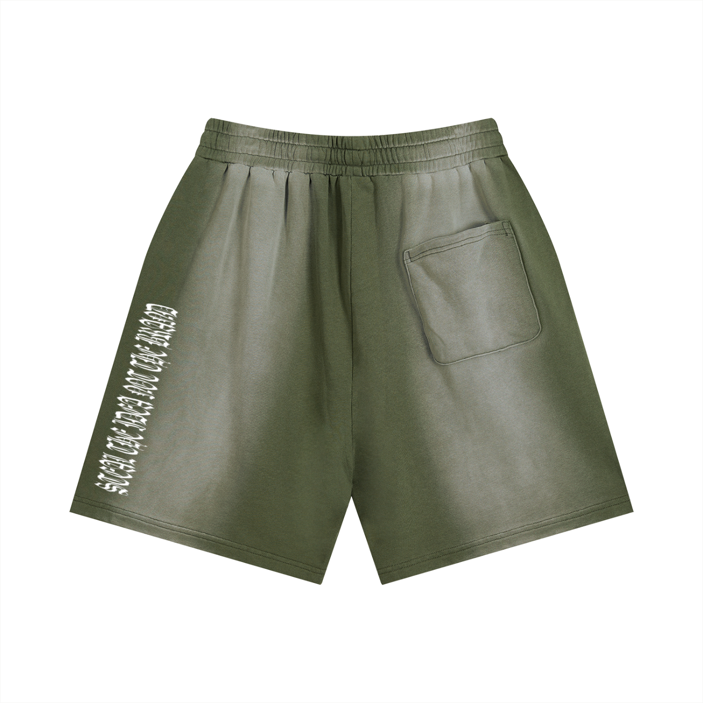 Sun Fade Distressed Shorts